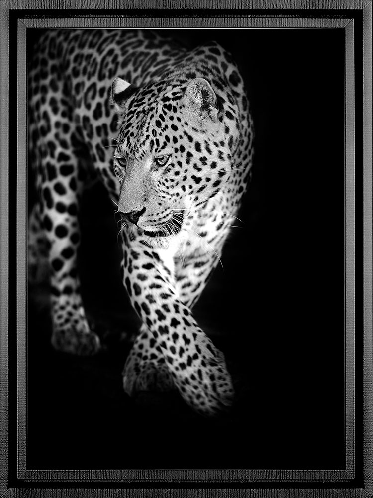 PGL-93