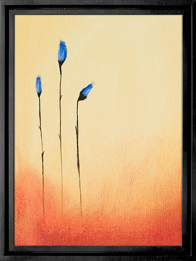 AM1-034